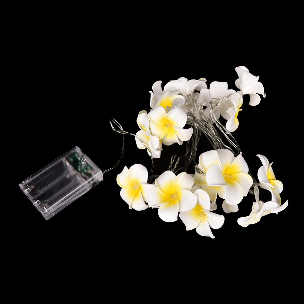 

Creative DIY Frangipani LED String Lights, AA Battery Floral Holiday Lighting, Event Party Garland Decoration,Bedroom Decoration