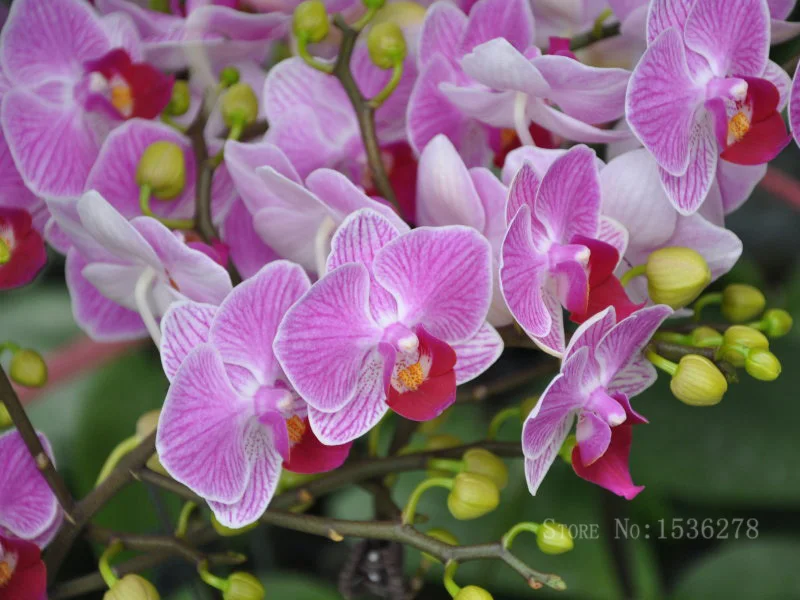 Искусственные формы для торта украшение помадки форма мыла и шоколада кухни