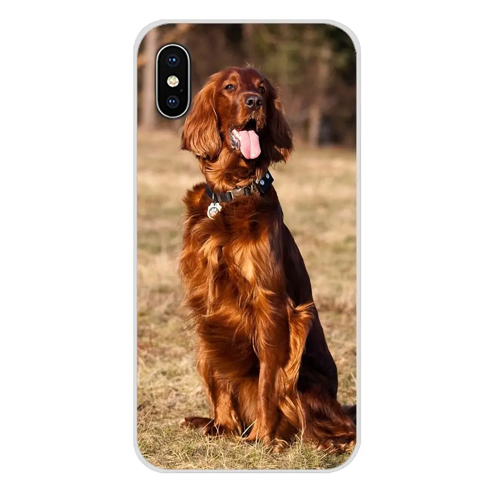 Чехлы и аксессуары для телефонов Xiaomi Redmi 4A S2 Note 3 3S 4 4X 5 Plus 6 7 6A Pro Pocophone F1 Irish Setter dog art