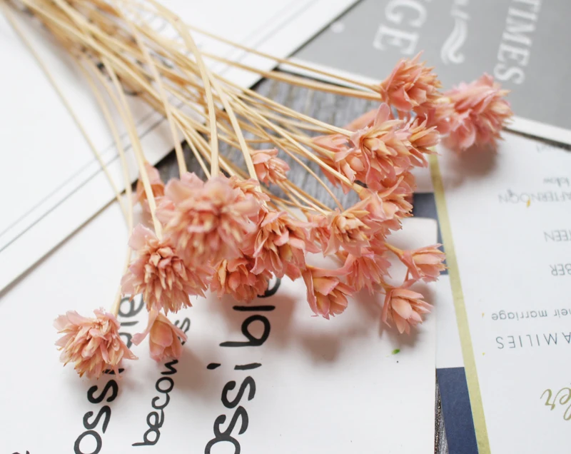 Розовый 30 шт. Deinsfen сушеные цветы мини сушеные декоративные цветы натуральные растения букет Свадебная вечеринка украшение дома диаметром 1 см - Цвет: Розовый