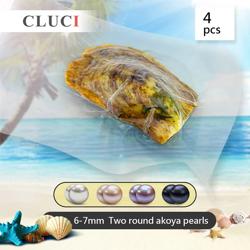 

CLUCI 4pcs Oyster with Akoya Pearl Genuine Assorted Color Pearl Bead 6-7mm Cultured Round Twins Akoya Pearls in Oysters WP037SB