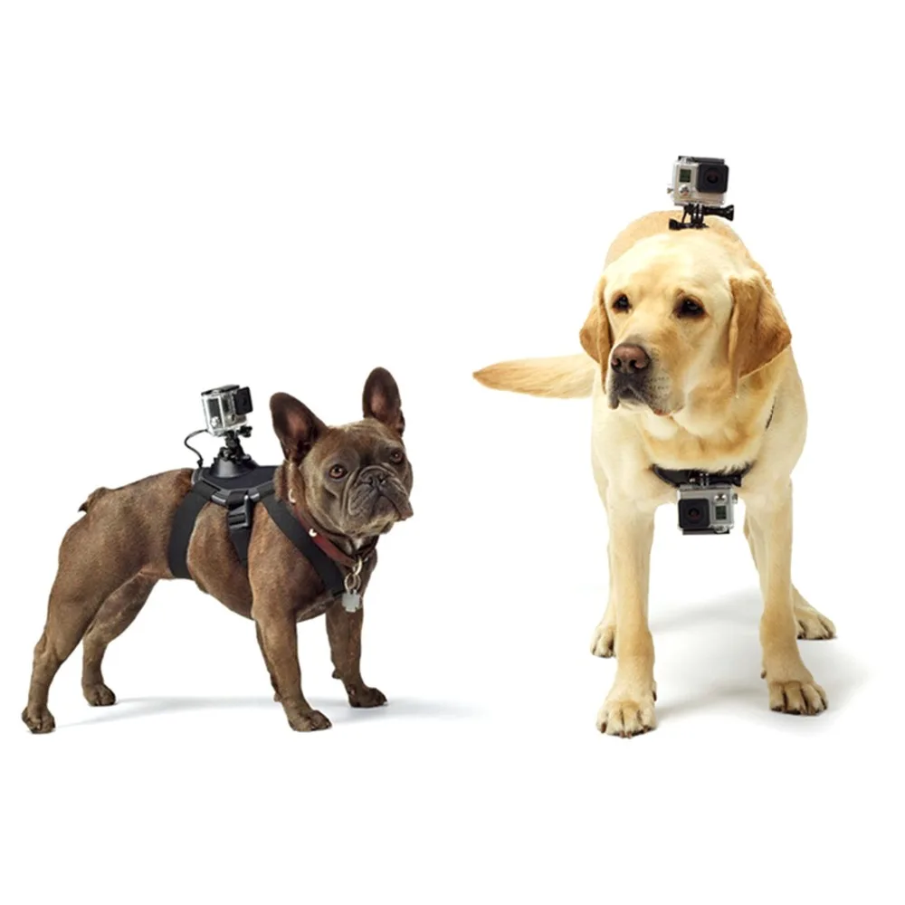 Домашних животных нагрудный ремень крепление для Gopro hero 3 4 Go профессиональная