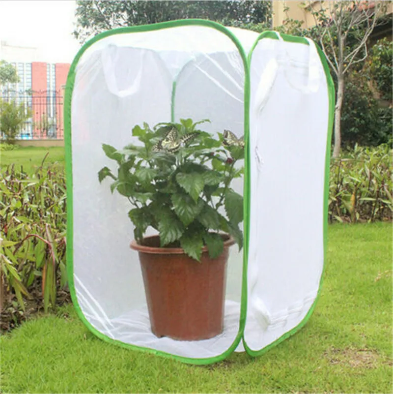 1 шт. Богомол палки зеленый Портативный складной насекомых которые могут