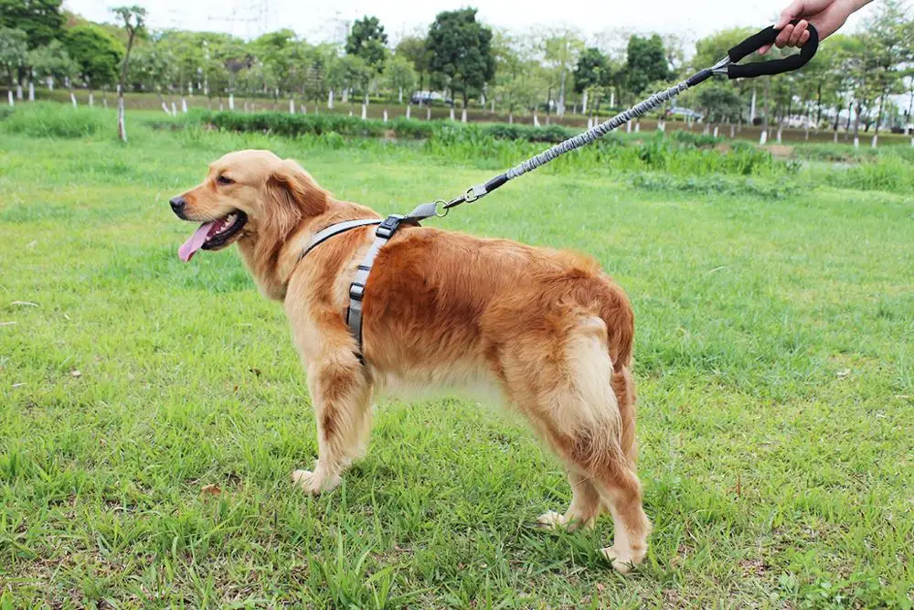 Поводок для собак TUFF HOUND нейлоновый Эластичный шнурок больших питомцев