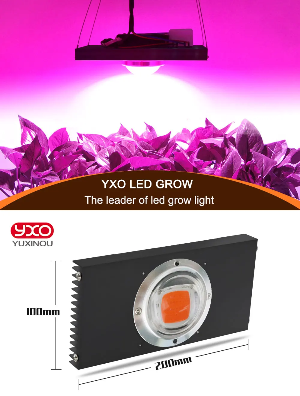 COB светодиодный Grow светильник полный спектр фактические Мощность 100W 200W 300W 500W светодиодный для сельскохозяйствнных ламп для комнатных растений Veg& цветения