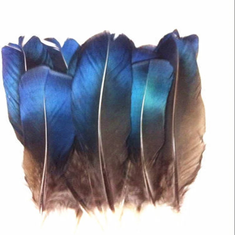 10 шт. билет с голубыми перьями 12 16 см/5 7 дюймов|blue feathers|feathers bluefeather feather |
