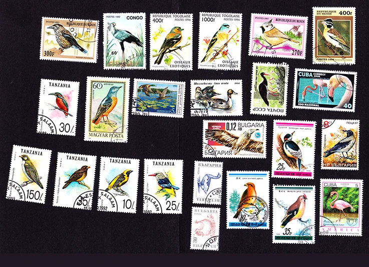 Новые 50 шт./упак. Bird все отличаются во многих странах не повторяют