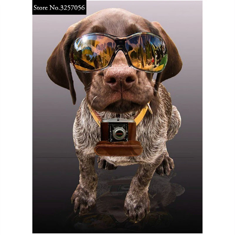 

Алмазная вышивка 5D «сделай сам», алмазная живопись, Модные животные, собака и камера, Алмазная мозаика, вышивка крестиком стразы, украшение ...