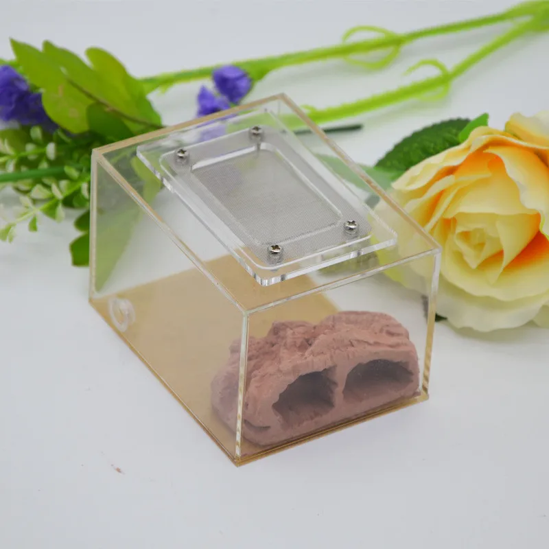 Имитация экологического муравьиного гнезда DIY штукатурка rockery acryl pet муравьиный замок муравьиная ферма насекомое муравьиные гнезда вилла
