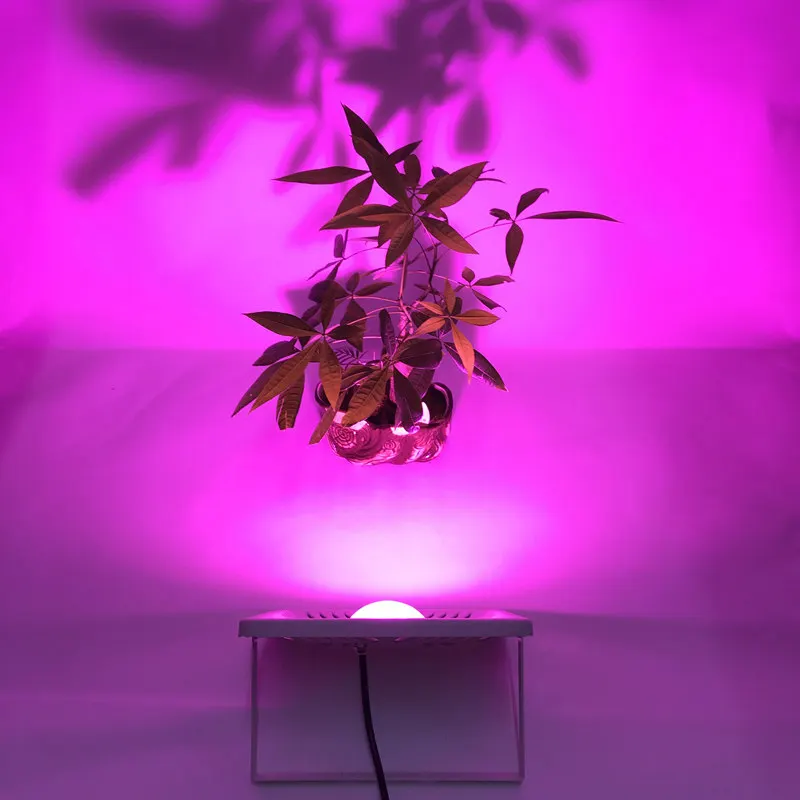 Светодиодная лампа для выращивания растений 300 Вт с регулируемой яркостью