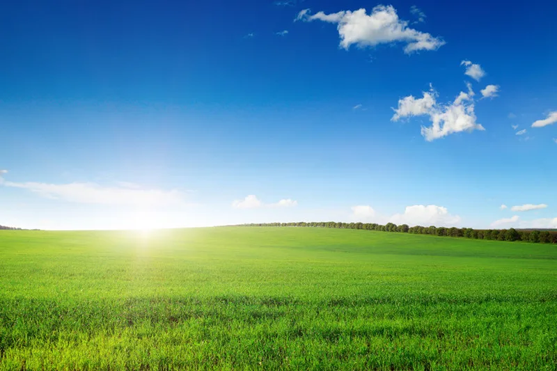 3D фрески на заказ красивое голубое небо и белые облака пастбища обои для гостиной