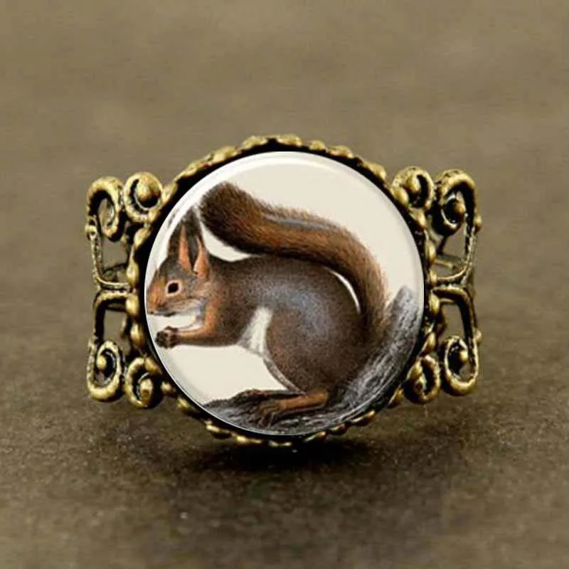 Белочка в стиле стимпанк кольцо со стеклянным куполом для мужчин и женщин