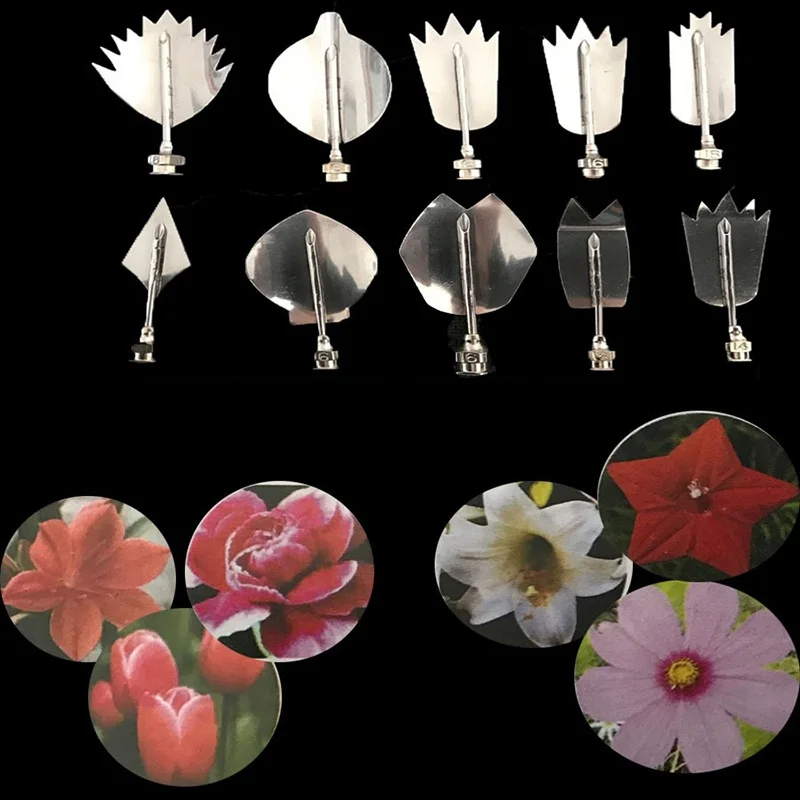 Разные стильные модные желатиновые художественные инструменты Gracilaria Jelly 3D торт