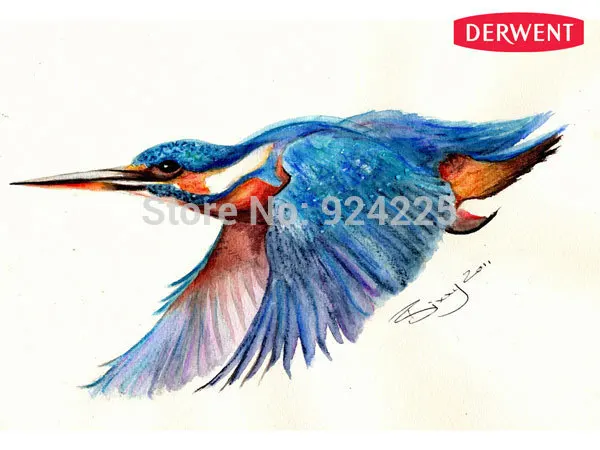 2016 г. Бесплатная доставка! Английский ДЕРВЕНТ Inktense водорастворимые цветные