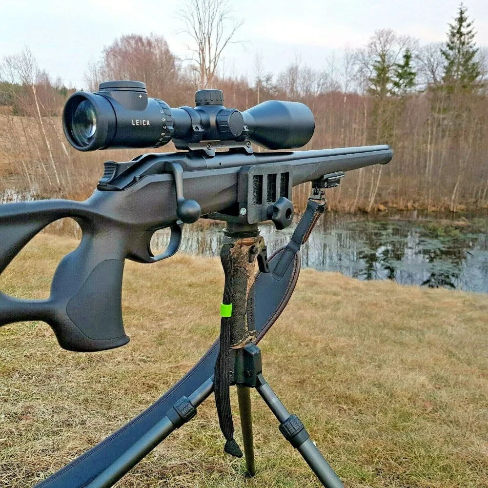 

Hunting