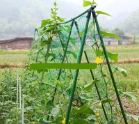 free shipping 1 8x1 8m garden netting vine plant climbing mesh net nylon material only