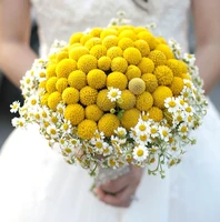 yellow billy ball and white small daisy dried flowers bouquet wedding bride decorative flowers for home decoration indoor
