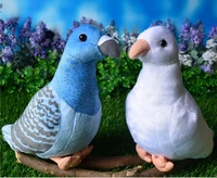 free shipping new pigeons parrot birds simulation animal stuffed plush toy for children girlfreind birthday gift