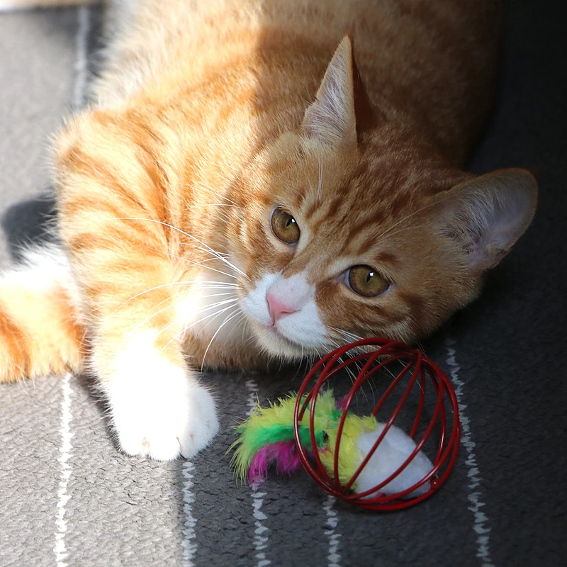 Игрушка для кошек железная клетка мышь перо плюшевая игрушки интерактивный