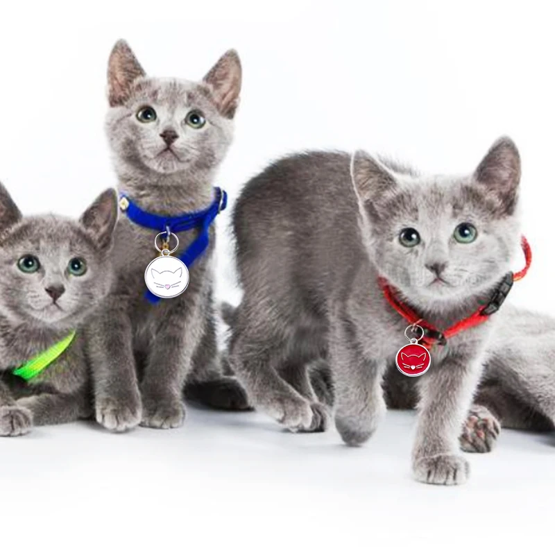 Идентификационная табличка для домашних животных персонализированная