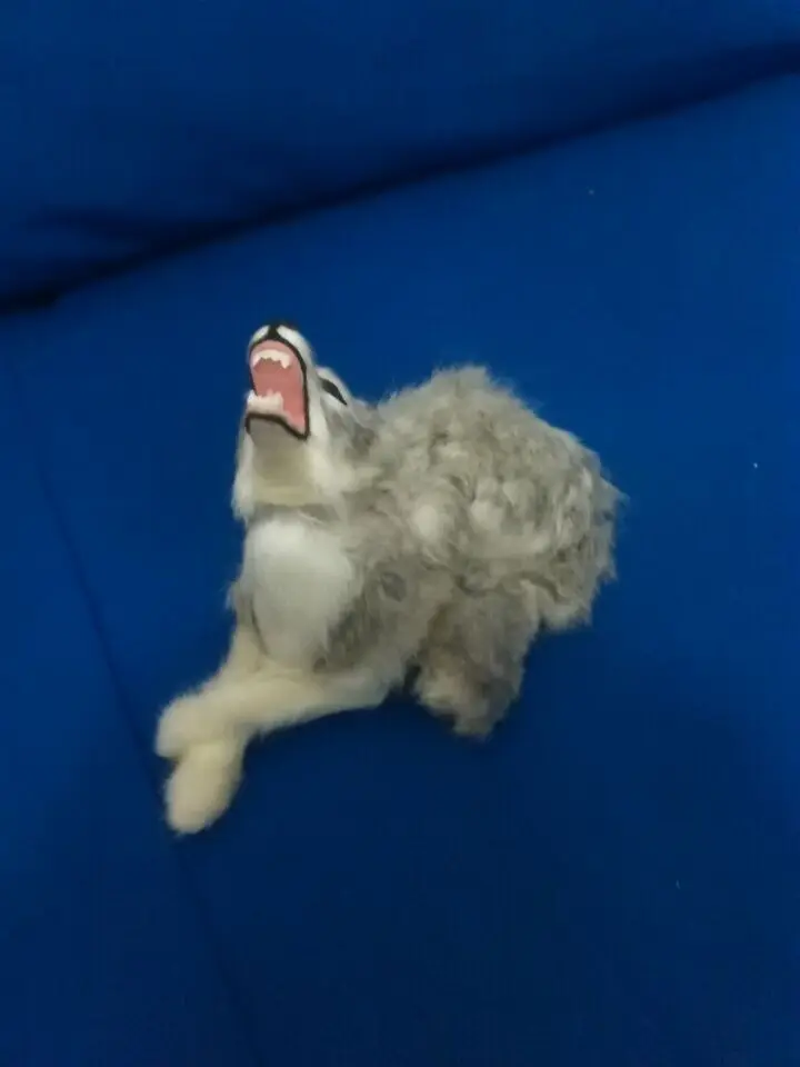 Мебель для дома Имитация животных смотрящих на небо игрушка волк модель