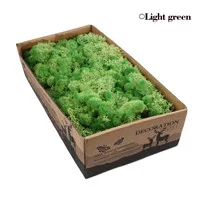 D Light green 500 г натуральный олень мох консервированный сушеный цветок Stamen для Сказочный Сад Гирлянда Свадебная вечеринка Декор 24 цвета на выбор - Цвет: D Light green