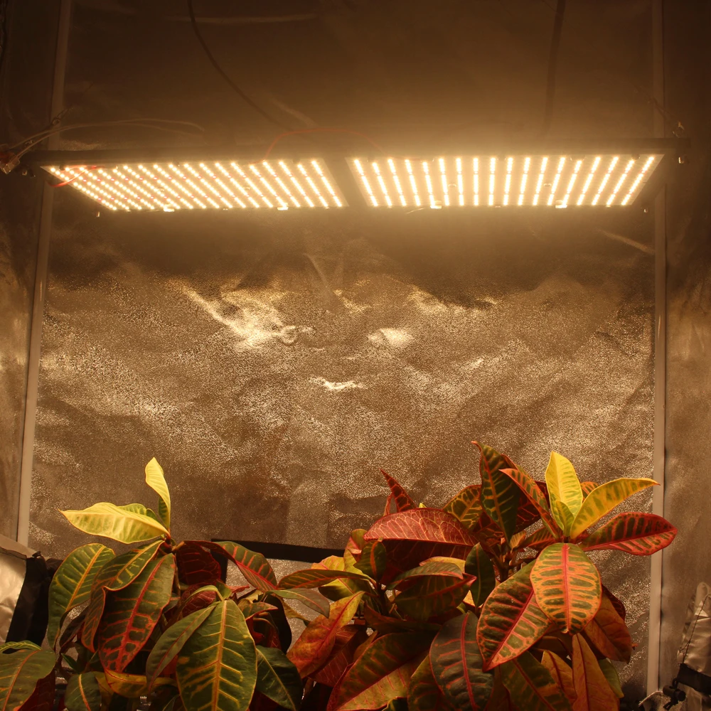 Figolite grow Квантовая доска с регулируемой яркостью УФ ИК светодиодный светильник для выращивания QB288 LM301B 120 Вт 240 Вт 320 Вт 480 Вт с драйвером Meanwell 7 лет гарантии