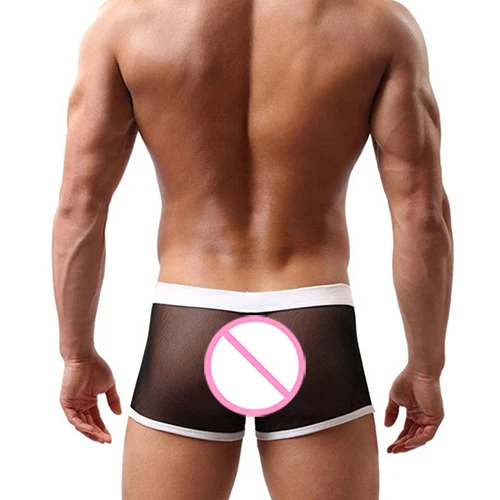 

Men Sexy Breathable Mesh See Through Boxer Shorts Elastic Waist Underwear