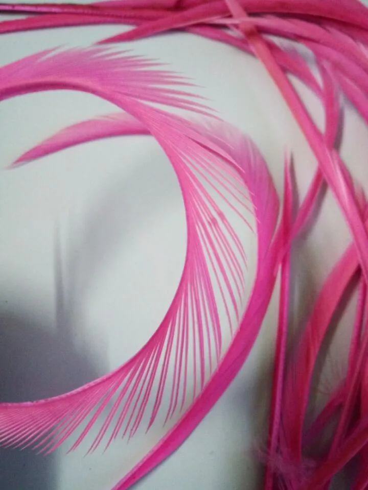 Выбирайте из реальных фотографий! 10 шт./лот красивые ремесла перо рваные края 6 8