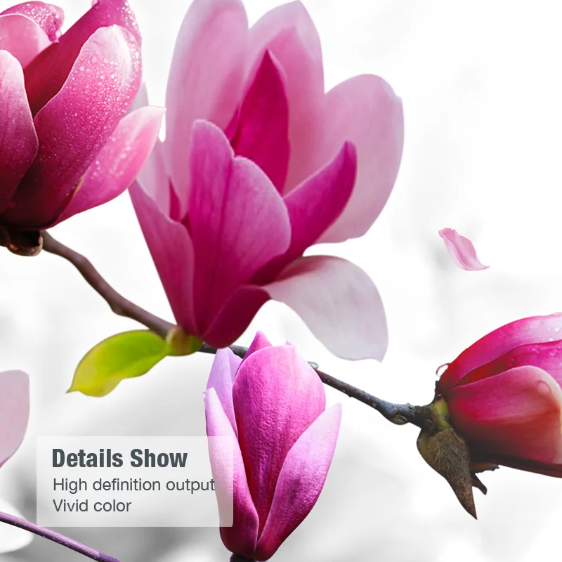 По индивидуальному заказу картины на холсте цветок магнолии картина с магнолией