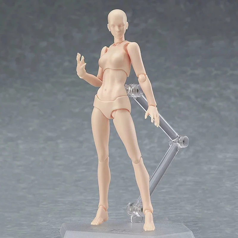 14 5 см Figma Archetype He She ПВХ фигурка человека тела суставов мужской женский телесный
