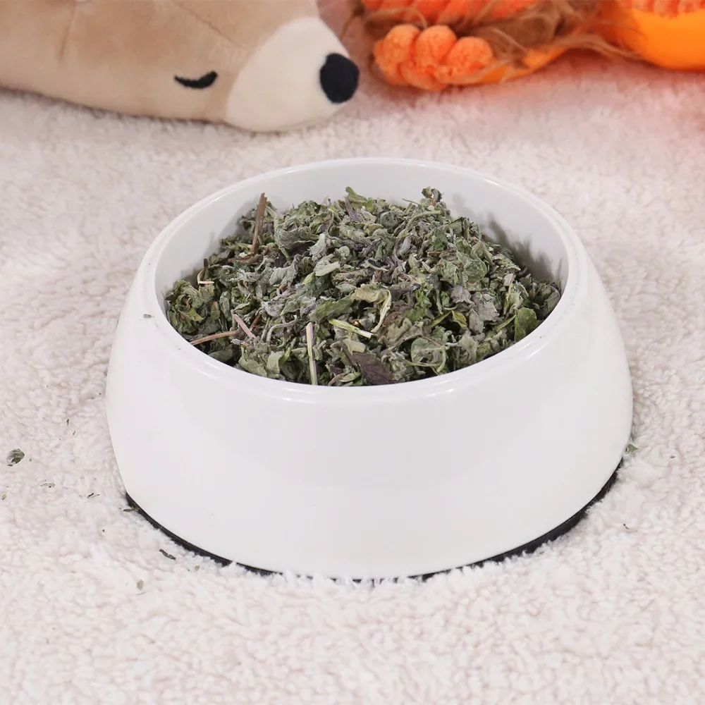 Catnip игрушка кошка 10 г/упак. натуральный здоровый нетоксичный питомец чистка зубов путешествия закуска для котенка Catmint игрушка для питомца