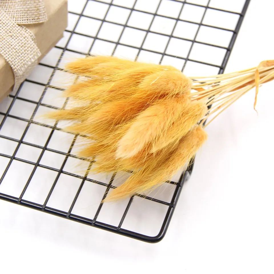 Orange-100pcs 100 шт./лот, милые искусственные букеты lagunus Ovatus& Uraria Picta, сделай сам, кроличий хвост, трава, букеты, свадебные украшения - Цвет: Orange-100pcs
