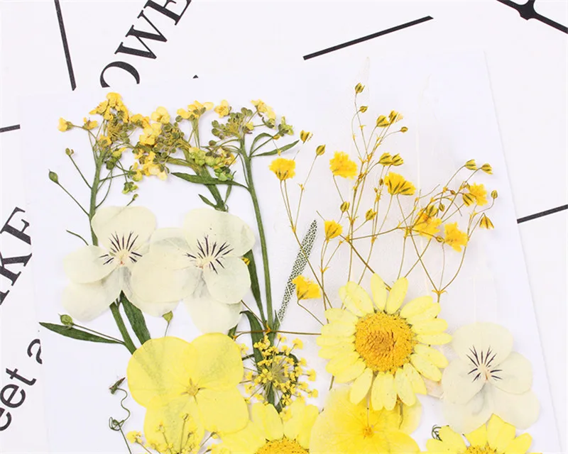 Прессованные натуральные сухие цветы для изготовления ювелирных изделий из