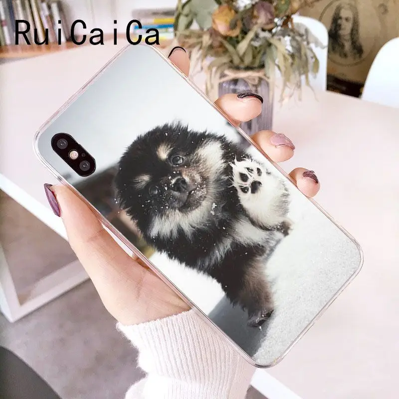 RuiCaiCa померанские собаки DIY Роскошный чехол для iPhone 8 7 6 6S Plus 5 5S SE XR X XS MAX 10 Coque