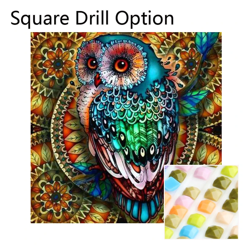 Square Drill Алмазная вышивка GLymg 5d, ручная роспись, стразы, вышивка, мандала, ягода, ветка, Сова, Алмазное искусство, Настенный декор - Цвет: Square Drill