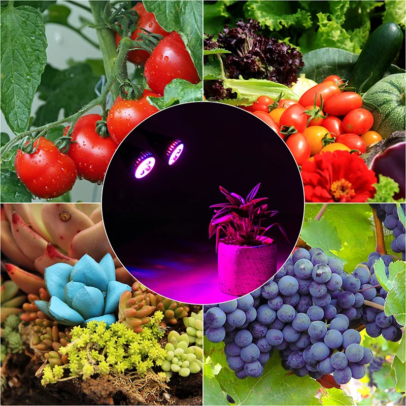 

Double Head LED Grow Light Full Spectrum 360 Degree Flexible Lamp Holder Clip 10W 85-265V Plant Grow Lamp For Indoor Desktop