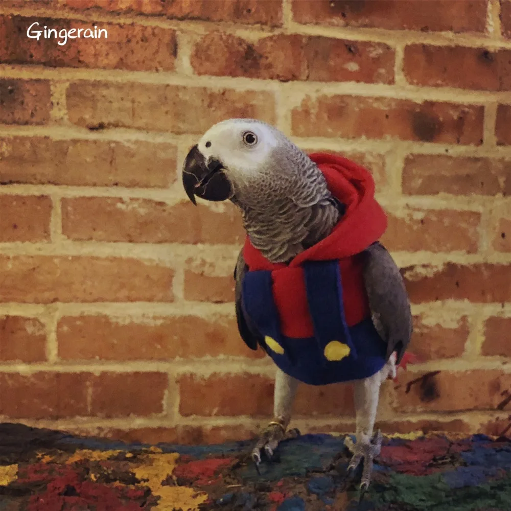 Одежда с птицами Gingerain, одежда с попугаем, Супер Мари, оригинальная ручная работа, одежда с птицами, свитер с капюшоном, Супер Мари