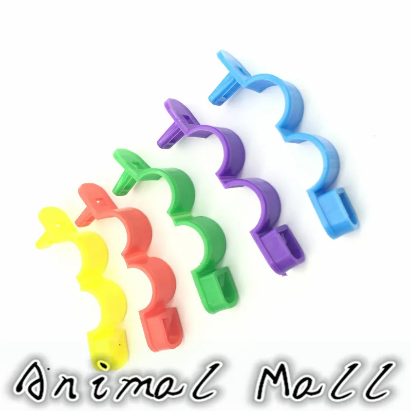 500 шт ПЭТ птицы перепелиный попугай голубь 5 видов цветов формула открытия