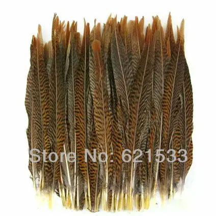 

30pcs/lot Golden Pheasant Tail Feathers Wholesale Loose Quill Natural Smudge Wand Black Brown 8-10" 20-25cm