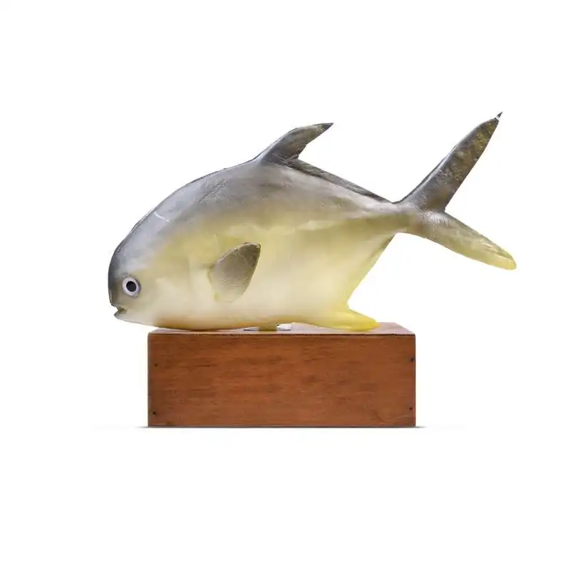 

Simulation Pomfret False Fish Model Seafood Cabinets Display Layout Early Childhood Props Restaurant Decoration Unisex Finished