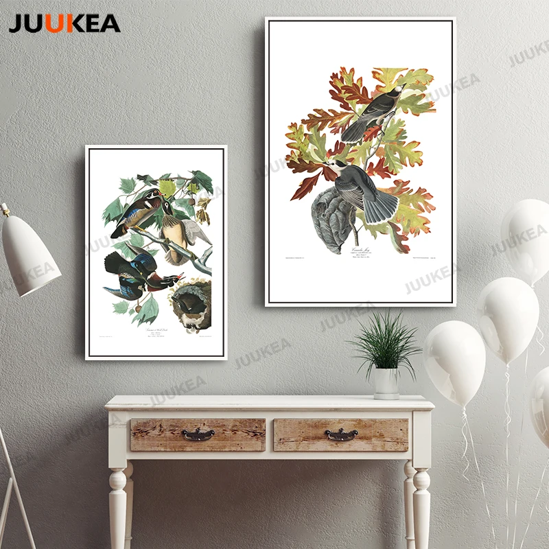 John James audubon Америка Товары для птиц коллекция HD высокое качество холст Книги по