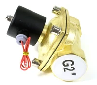 Free Shipping High Quality 2PCS In Lot 2 Water Solenoid Valve 8Bar Pressure Small Valve Body DC12V DC24V AC110V or AC220V
