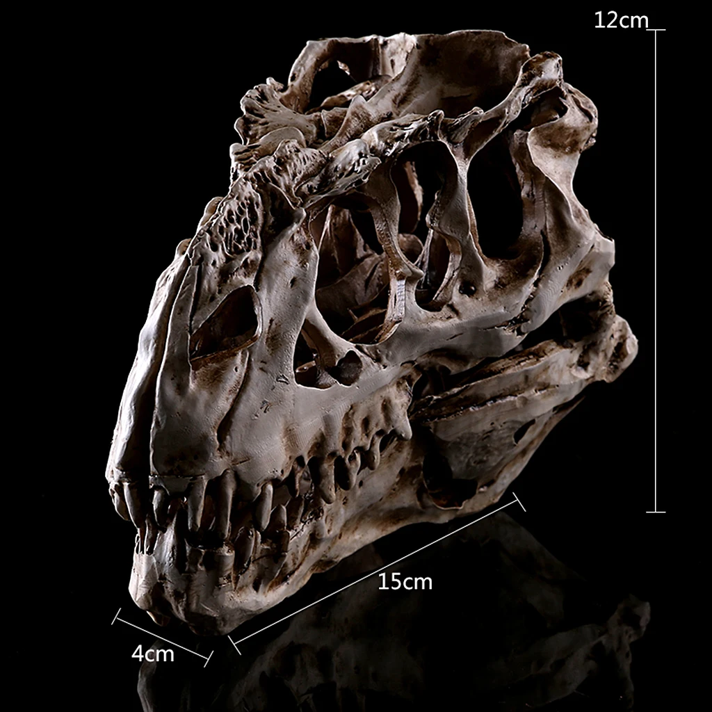 Resin T-rex Skull Replica Skeleton Figurine Collection Bar Decor White | Дом и сад