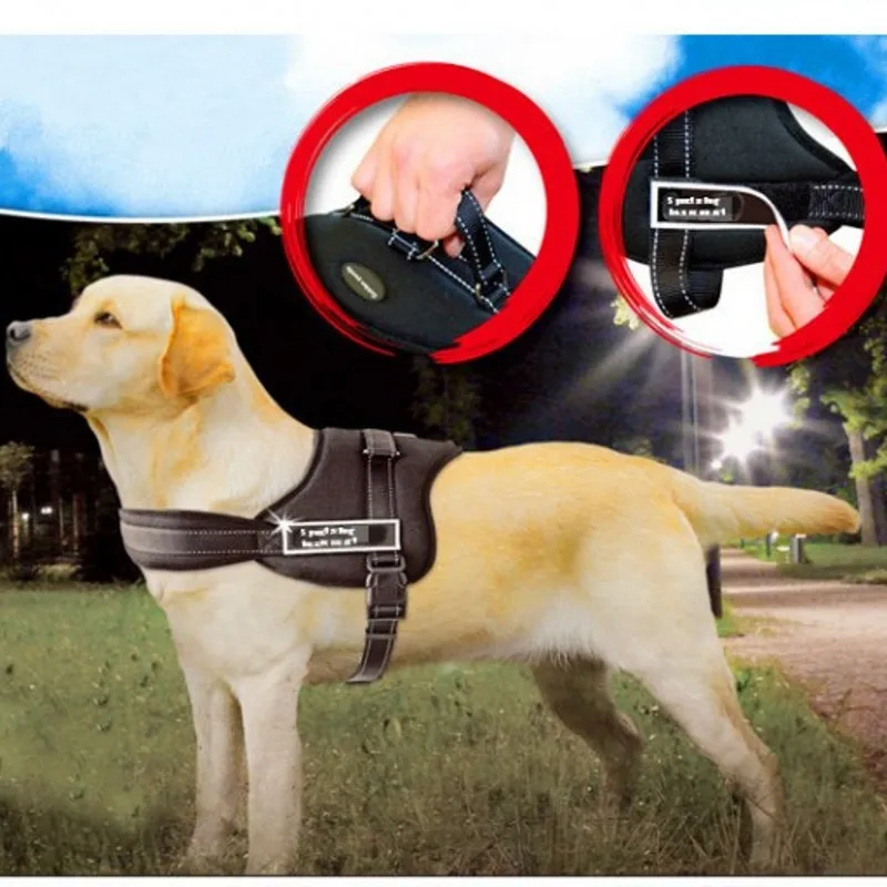 Новинка хит продаж роскошный поводок для собак больших высокое качество хлопок