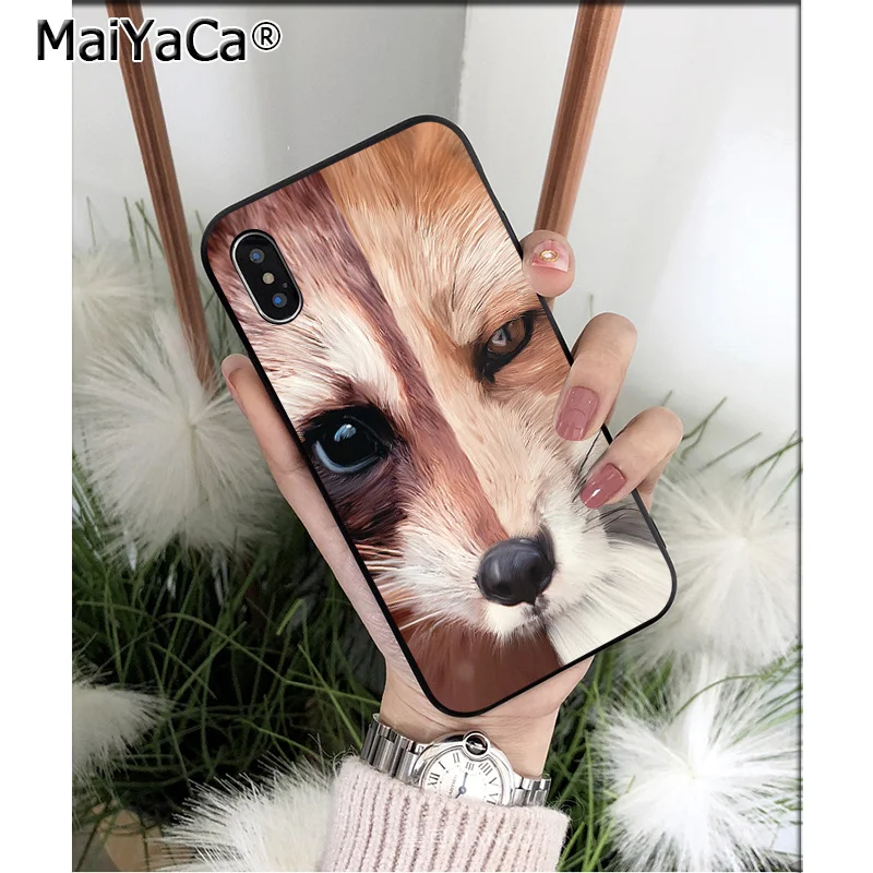 A16 MaiYaCa животное енот лиса высокое качество чехол для телефона iPhone X XS MAX 6 6S 7 7plus 8 8Plus 5 5S XR - Цвет: A16