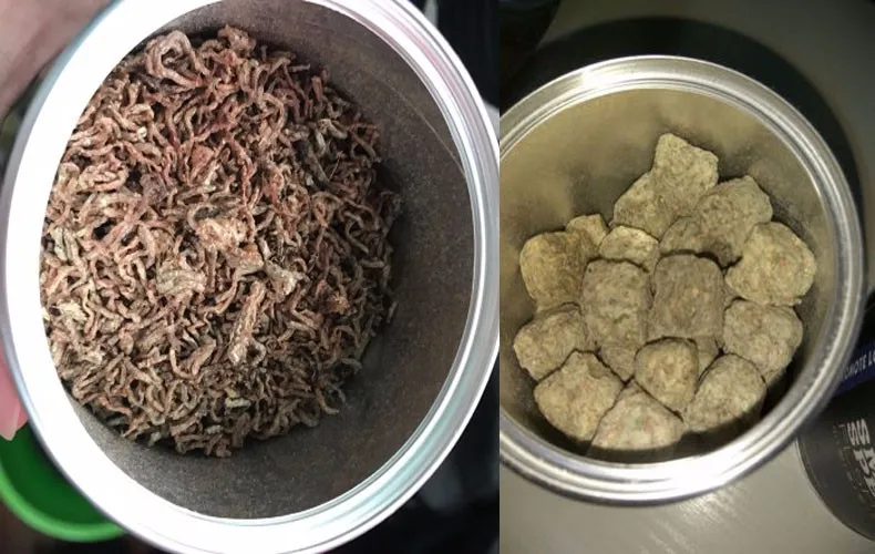 Рыбная еда красная кровь теплая сухая вакуумная сублимированная Артемия Салина тропический аквариум маленькие рыбки корма