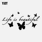 Наклейка на автомобиль, виниловая, 18 см х 8,7 см, C24-0040