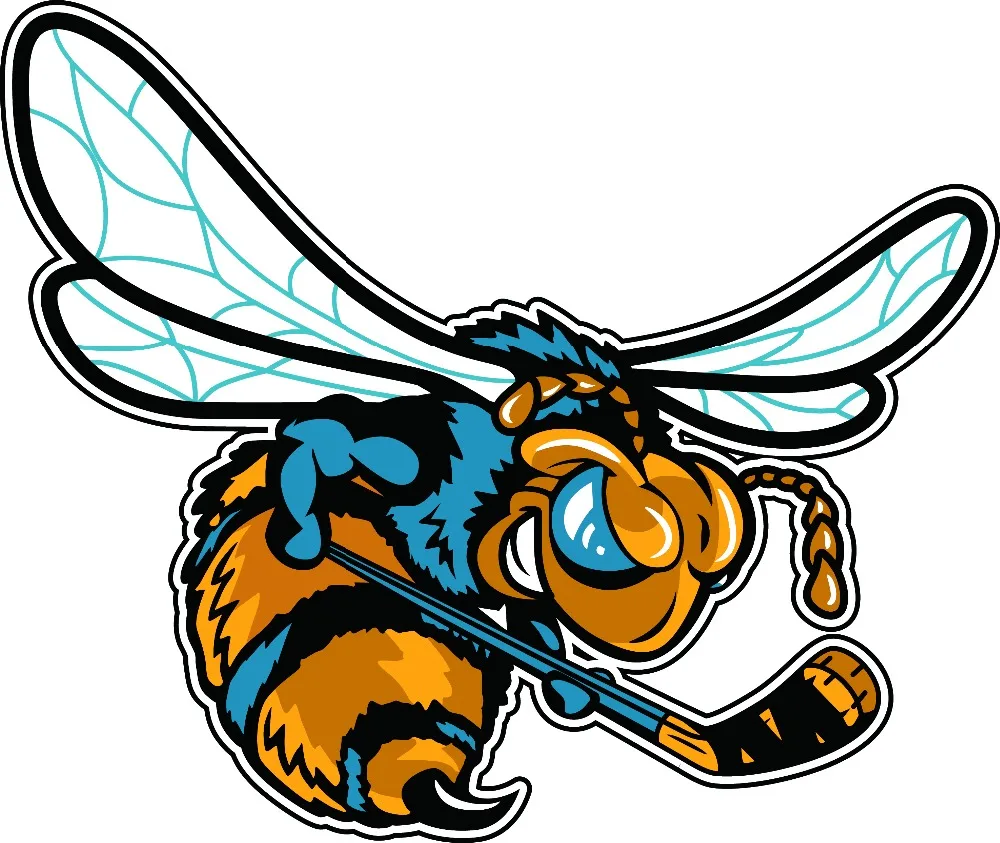 Джетс Бесплатная доставка винтажные хоккейные тренировочные трикотажные