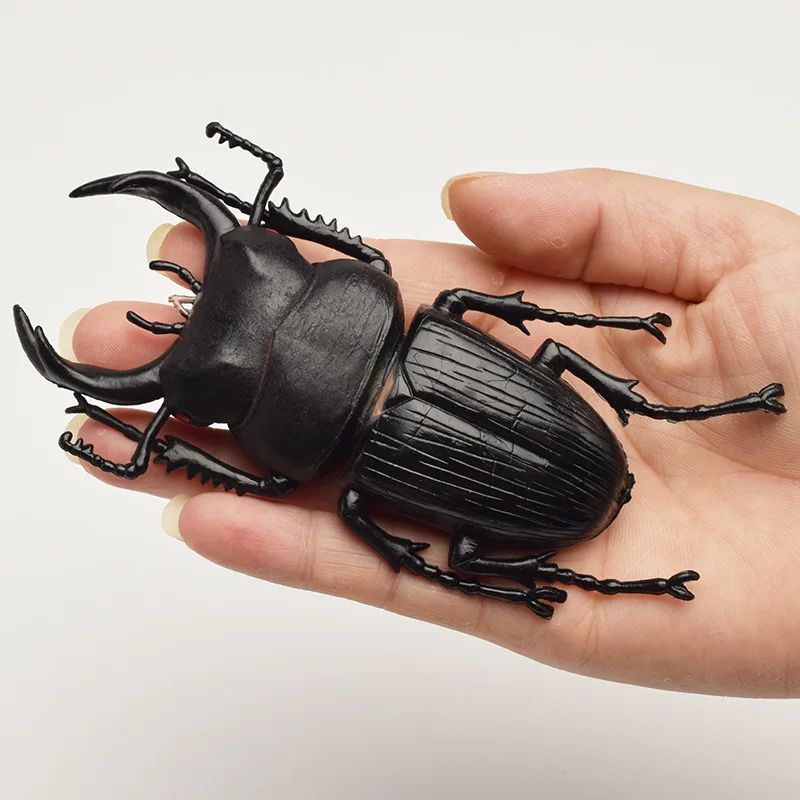 

6 style 13cm simulation beetle Toys Special Lifelike Model Simulation insect Toy nursery teaching aids joke toys